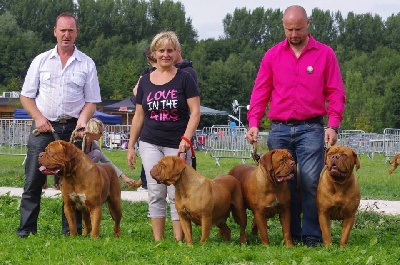 des Gardiens des Elfes - Les gardiens des elfes à la nationale d élevage 2013