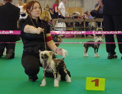 des Gardiens des Elfes - championnat de france