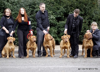 des Gardiens des Elfes - reunion famille paris dog show