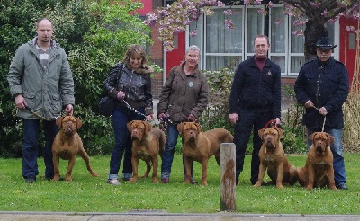 des Gardiens des Elfes - Les gardiens des elfes à l'exposition internationale d'amiens