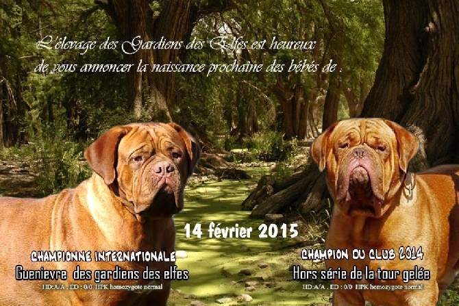 des Gardiens des Elfes - Naissance prévue pour le 14 février 2015
